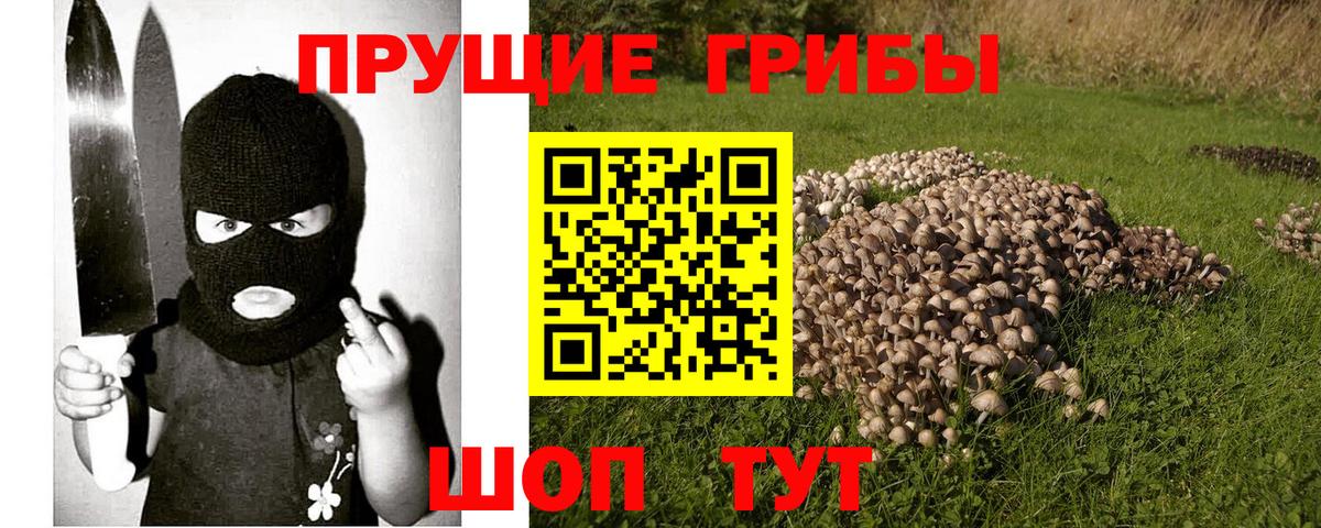 Псилоцибиновые грибы мухоморы Бугуруслан