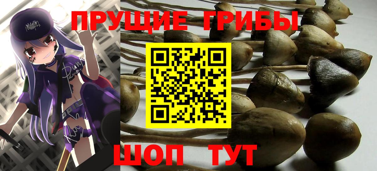 Псилоцибиновые грибы MAGIC MUSHROOMS  Вход с VPN  Бугуруслан 